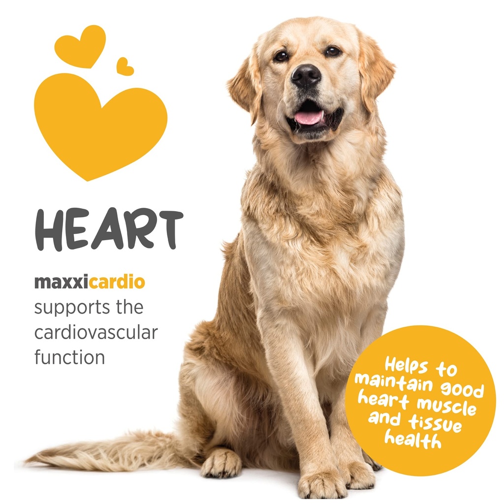 maxxipaws-maxxicardio-heart-support-for--3.jpg