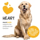 maxxipaws-maxxicardio-heart-support-for--3.jpg