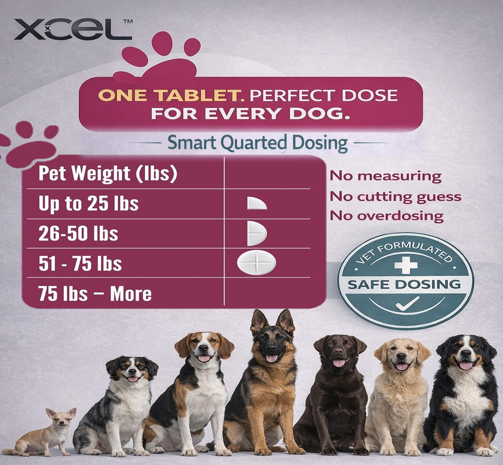 xcel-taurine-for-dogs-1000-mg-supplement-3.jpg