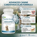 cardio-support-for-dogs-plus-antioxidant-2.jpg