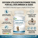 cardio-support-for-dogs-plus-antioxidant-5.jpg