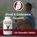vet-classics-blood-energy-dog-supplement-2.jpg