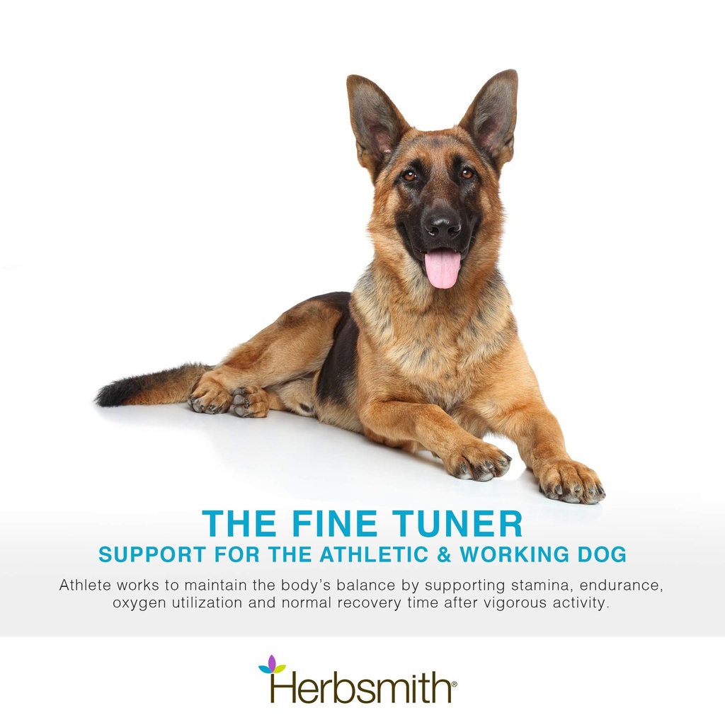 herbsmith-athlete-canine-endurance-suppl-2.jpg