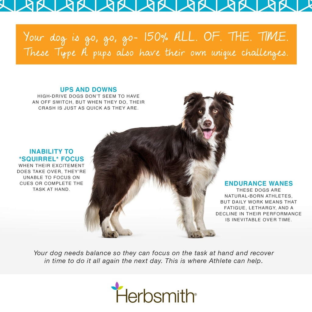herbsmith-athlete-canine-endurance-suppl-5.jpg