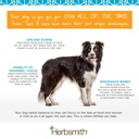 herbsmith-athlete-canine-endurance-suppl-5.jpg