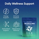 standard-lab-nac-600mg-nad-daily-complex-5.jpg