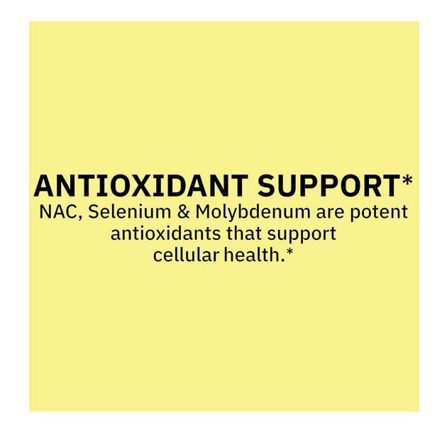 spring-valley-nac-1-000-mg-vegetarian-ca-5.jpg