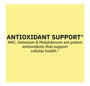 spring-valley-nac-1-000-mg-vegetarian-ca-5.jpg