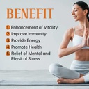 b-complex-dietary-supplement-contains-al-6.jpg
