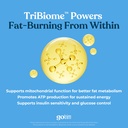 tls-gotrim-thin-satiety-and-metabolic-su-3.jpg
