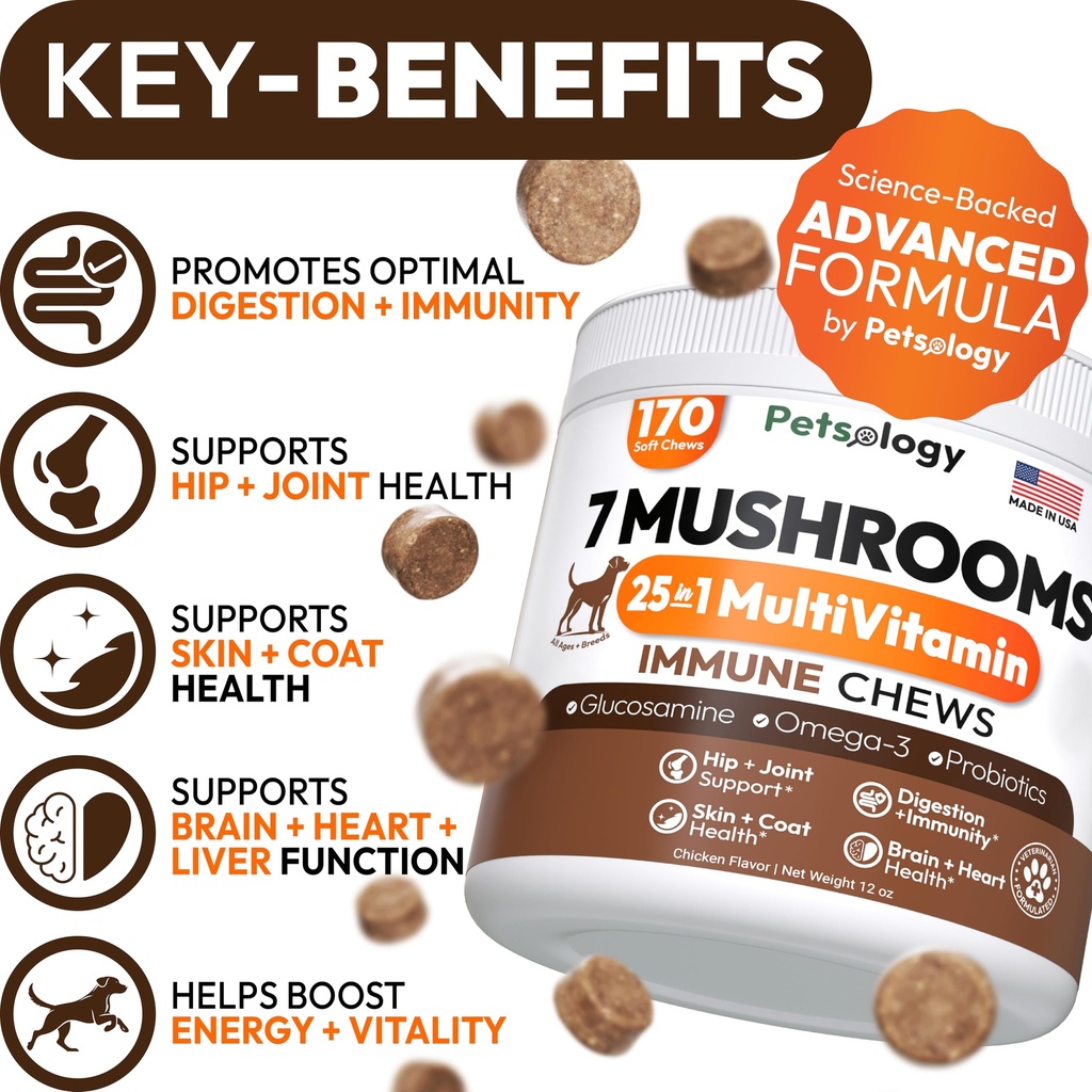 2-pack-turkey-tail-mushroom-for-dogs-340-2.jpg