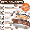 2-pack-turkey-tail-mushroom-for-dogs-340-2.jpg