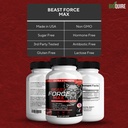 beast-force-max-extra-strength-maca-root-4.jpg