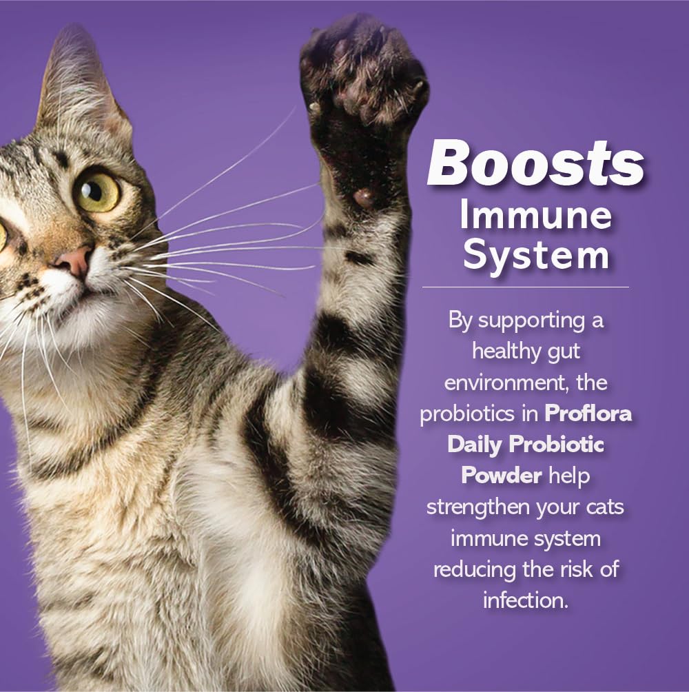 probiotics-for-cats-complete-gut-health--3.jpg