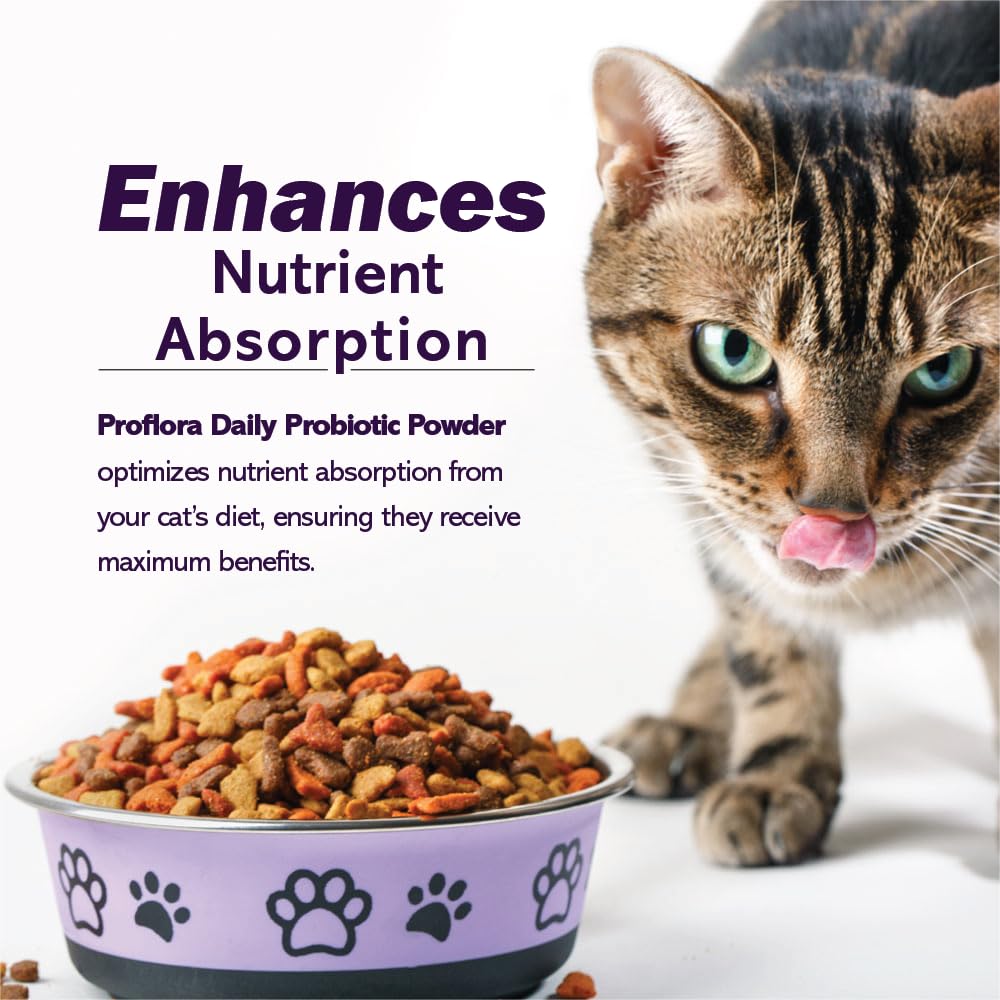 probiotics-for-cats-complete-gut-health--5.jpg