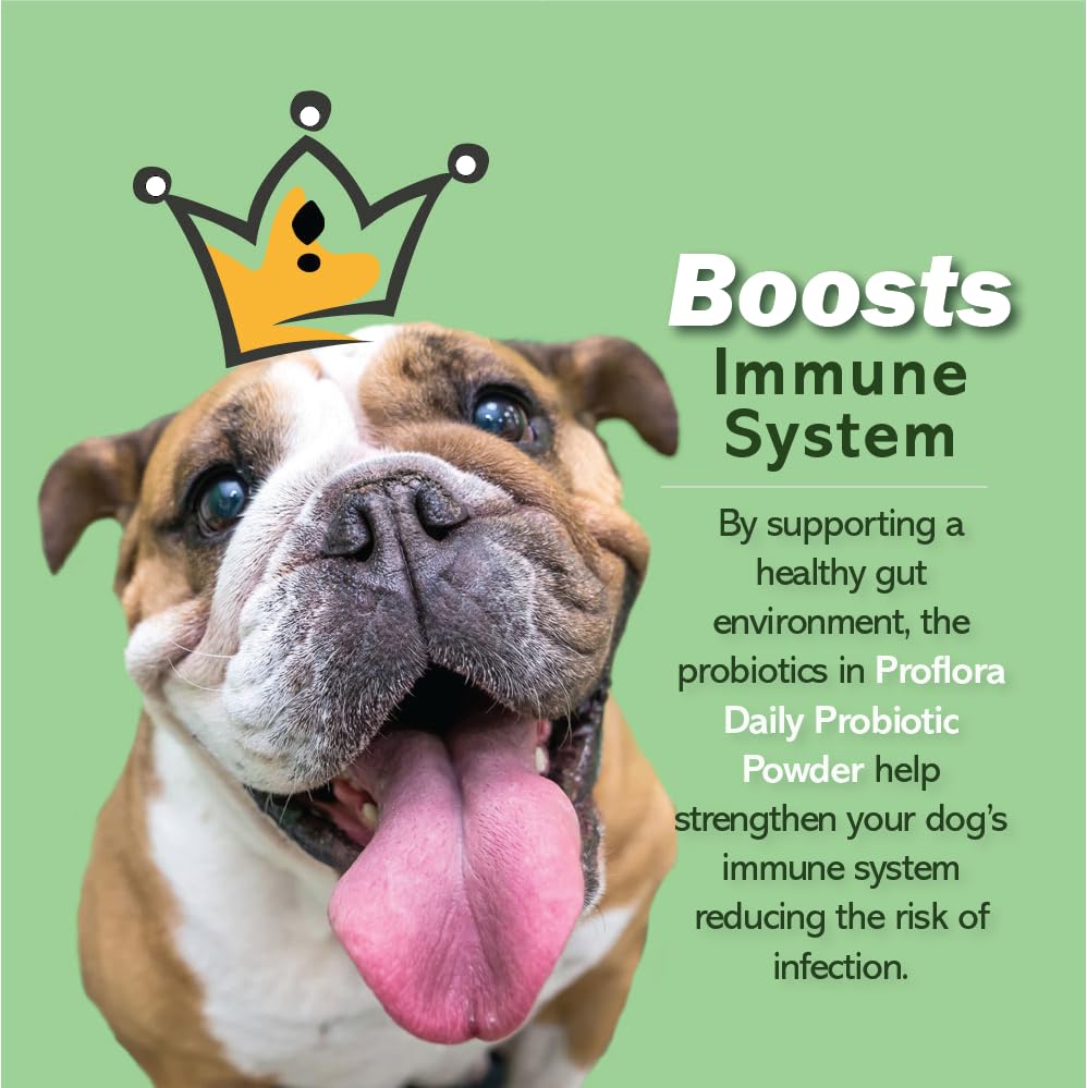 daily-probiotics-and-prebiotics-for-dogs-3.jpg