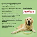 daily-probiotics-and-prebiotics-for-dogs-5.jpg