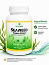 seagate-products-freeze-dried-seaweed-50-3.jpg