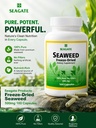 seagate-products-freeze-dried-seaweed-50-2.jpg