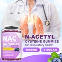 nac-gummies-for-kids-adults-nac-suppleme-3.jpg