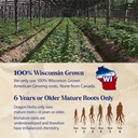 dragon-herbs-american-ginseng-drops-liqu-6.jpg