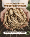 5-years-american-ginseng-roots-hand-sele-4.jpg