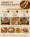 5-years-american-ginseng-roots-hand-sele-6.jpg