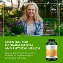swanson-vitamin-b1-thiamin-promotes-heal-6.jpg