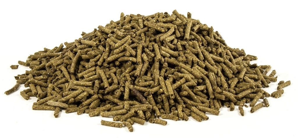 ultracruz-equine-vitamin-b-1-3.jpg