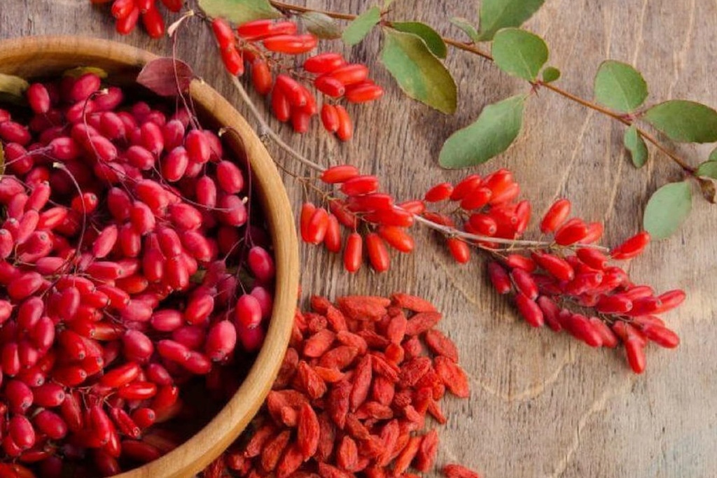 pure-original-ingredients-berberine-730--5.jpg