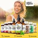 wild-organic-lemon-balm-drops-relaxation-5.jpg