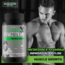 male-prime-x-factor-by-male-alpha-testo--5.jpg