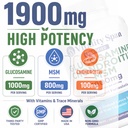 glucosamine-chondroitin-msm-supplement-1-2.jpg