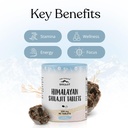 pure-himalayan-shilajit-for-men-and-wome-2.jpg