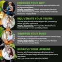 himalayan-shilajit-capsules-purified-him-3.jpg