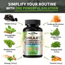 himalayan-shilajit-capsules-purified-him-6.jpg