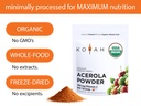 koyah-organic-acerola-powder-freeze-drie-3.jpg
