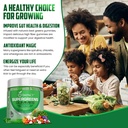 impact-fiber-gummies-for-adults-women-ki-2.jpg