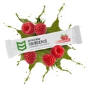 mtn-ops-greens-superfood-drink-mix-daily-6.jpg