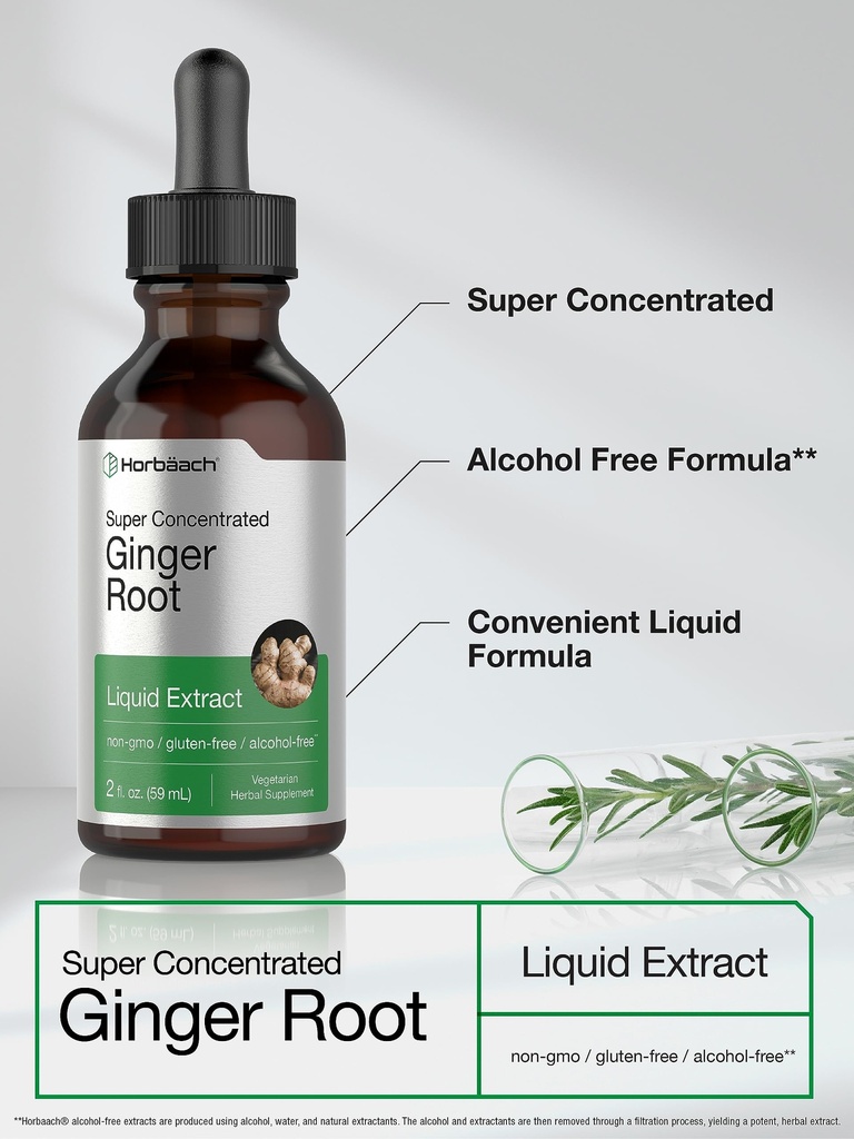 horb-ach-ginger-root-extract-liquid-2-oz-3.jpg