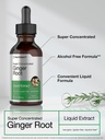 horb-ach-ginger-root-extract-liquid-2-oz-3.jpg