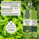 herbamama-green-tea-extract-liquid-500-m-6.jpg