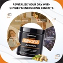 liposomal-ginger-with-cinnamon-peppermin-3.jpg