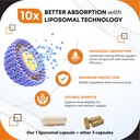liposomal-ginger-with-cinnamon-peppermin-5.jpg
