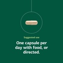 standard-process-ferrofood-blood-health--5.jpg