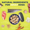 vetericyn-all-in-1-multifunctional-dog-s-4.jpg