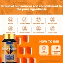 brain-supplement-for-memory-and-focus-wi-6.jpg