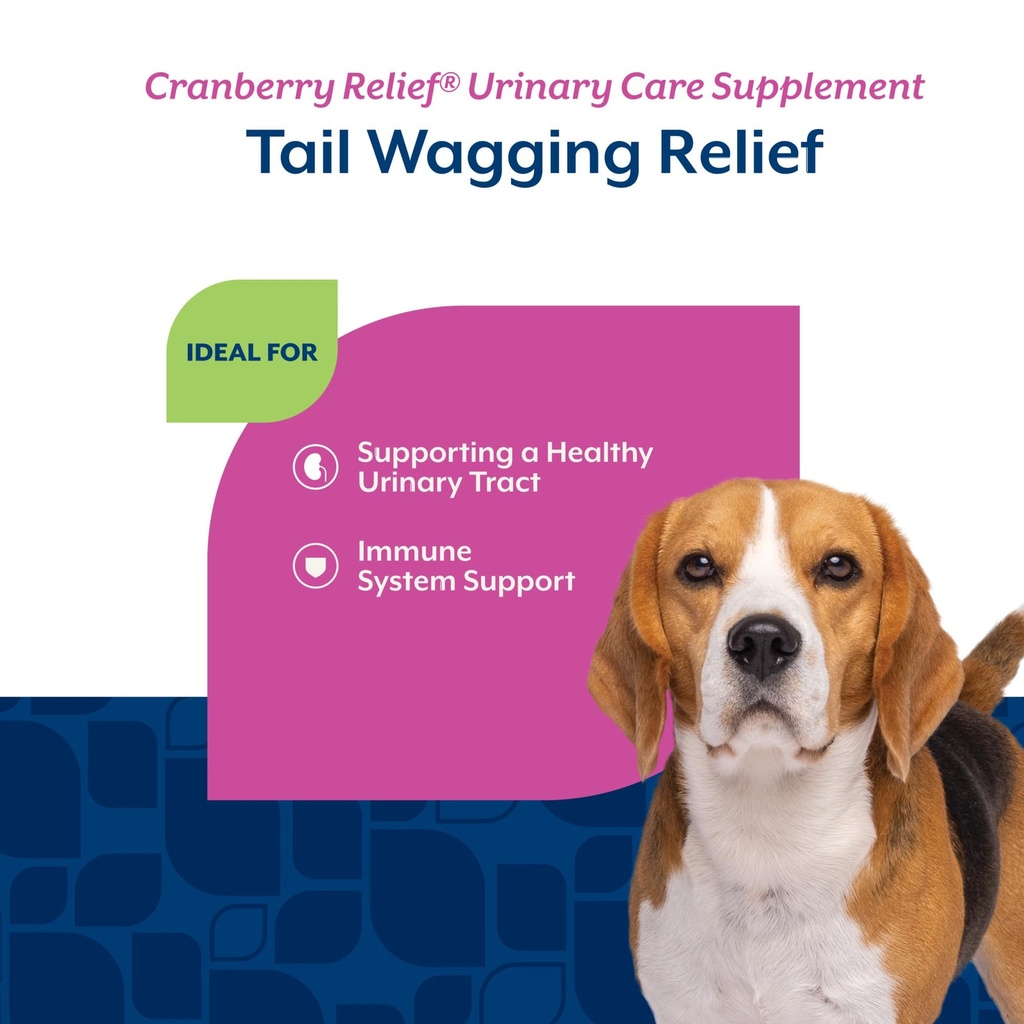 naturvet-cranberry-relief-plus-echinacea-4.jpg