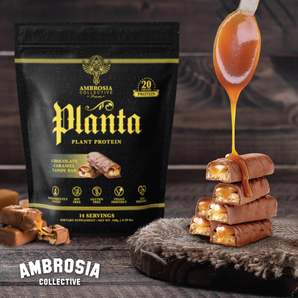 ambrosia-plant-based-protein-powder-20g--5.jpg