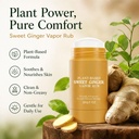 sweet-ginger-vapor-rub-stick-all-natural-2.jpg